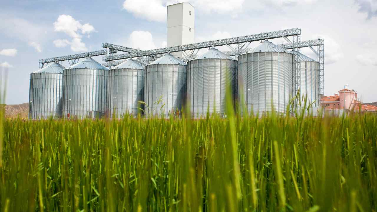 Inspeção de fazenda